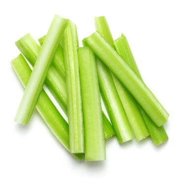 Pile of Celery Sticks