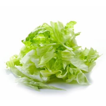 Chopped Lettuce