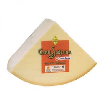 Grana Padano Cheese - OD