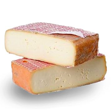Blocks of Taleggio Cheese