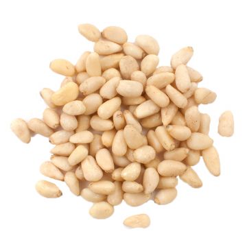 Pile of Raw Pine Nuts