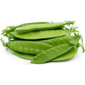 Snow Peas