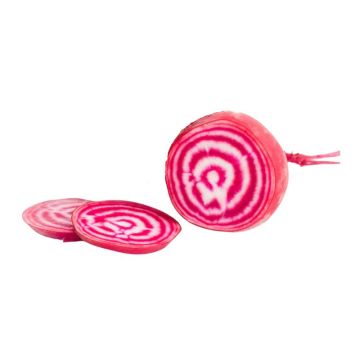 Chioggia Candy Strip Beets
