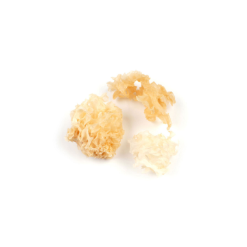 cauliflower mushrooms
