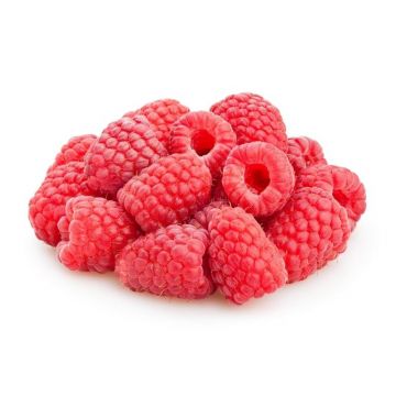 Red Raspberries