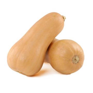 Butternut Squash
