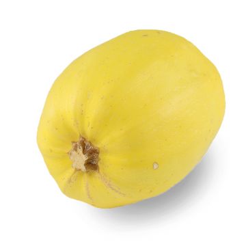 Spaghetti Squash