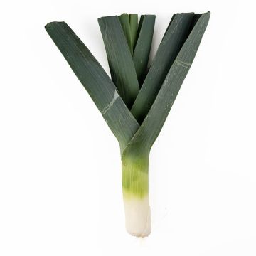 Leeks