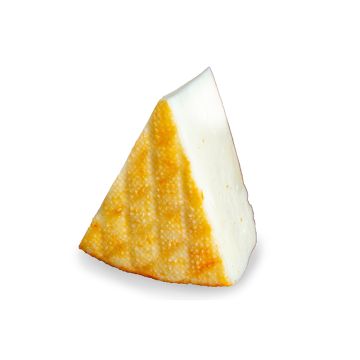 Slice of St. Paulin Cheese