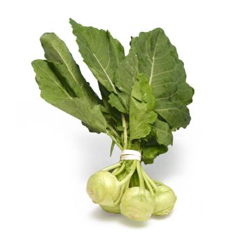 Baby Green Kohlrabi