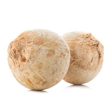 Two Organic Young Coconuts