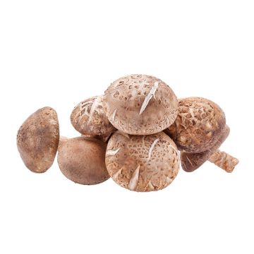 Organic Shiitake Mushrooms