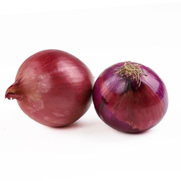 Organic Red Onions