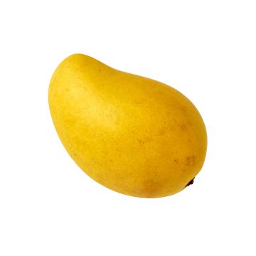 Ataulfo Mango
