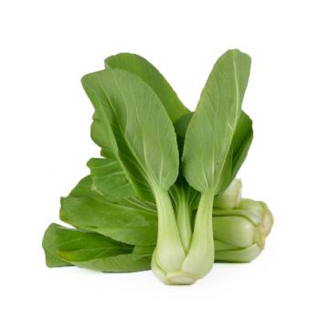 Organic Baby Bok Choy