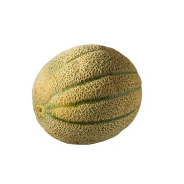 Tuscan Melon