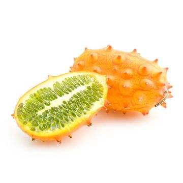 Horned Kiwano Melons