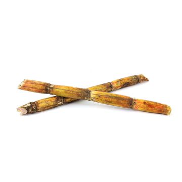 Bundle of Sugar Cane Stalks 