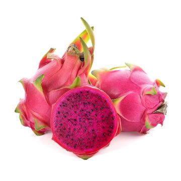 Red Dragon Fruit