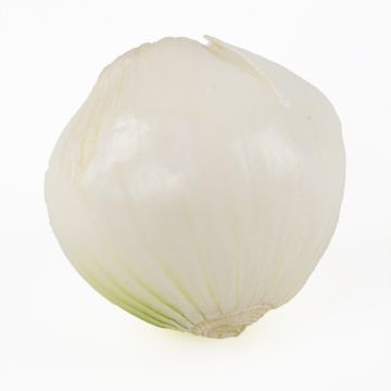 Peeled White Pearl Onions