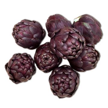Red Baby Artichokes