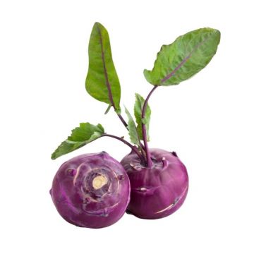 Red Bunched Kohlrabi