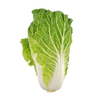 Organic Napa Cabbage