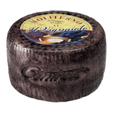 Wheel of Moliterno al Vino Cheese