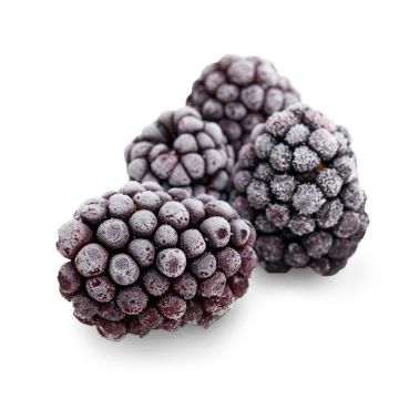 Four IQF Blackberries