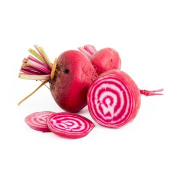 candy stripe beets