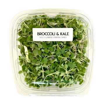 Pile of Micro Toscano Kale