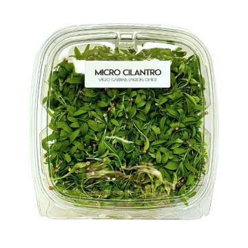 Micro Cilantro