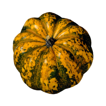 Sweet Dumpling Squash