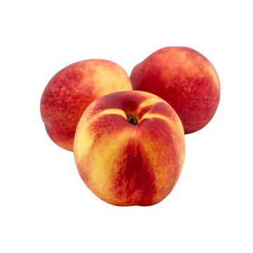 Nectarines