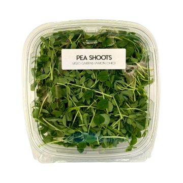 Micro Pea Shoot