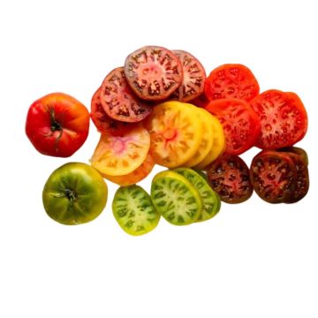 Mixed Heirloom Sliced Tomato
