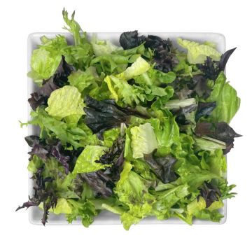 Tuscan Color & Crunch Lettuce