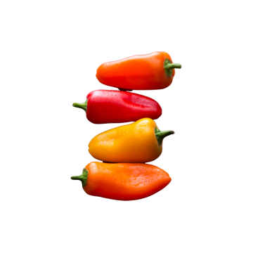 Mini Sweet Peppers - Retail