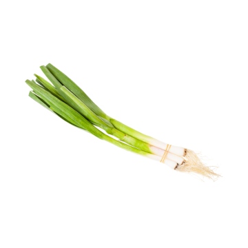 Bunch of Green Garlic