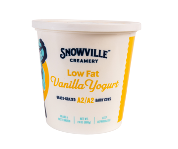 Container of low fat vanilla yogurt