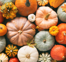 Warmth & Personality: Fall Decor!