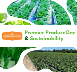 Sustainability & Buying Local