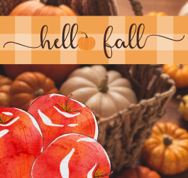 Comfort & Warmth: Fall is Here!