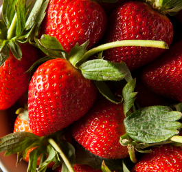 A Valentine's Day Favorite: Long Stem Strawberries!