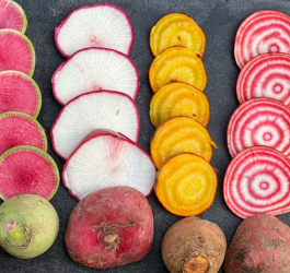 Early Spring Root Veggies