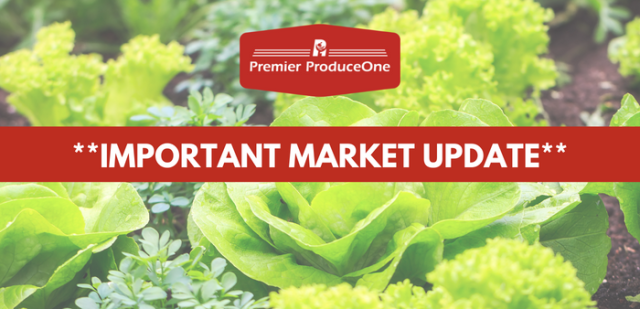 Important Market Update 10/12/2022