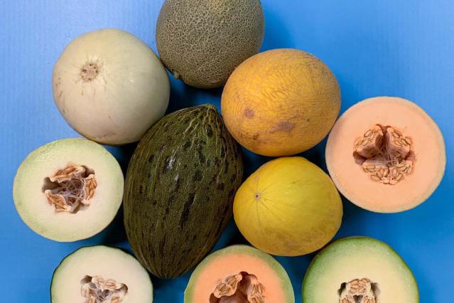 5 Magnificent Melons for Summertime Menus