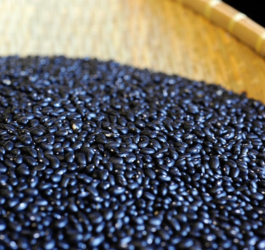 Ohio Grown, Ohio Made: Shagbark Seed & Mill