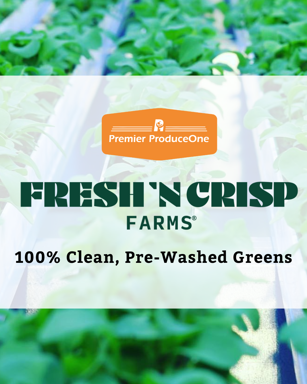 Fresh & Local Leafy Greens!