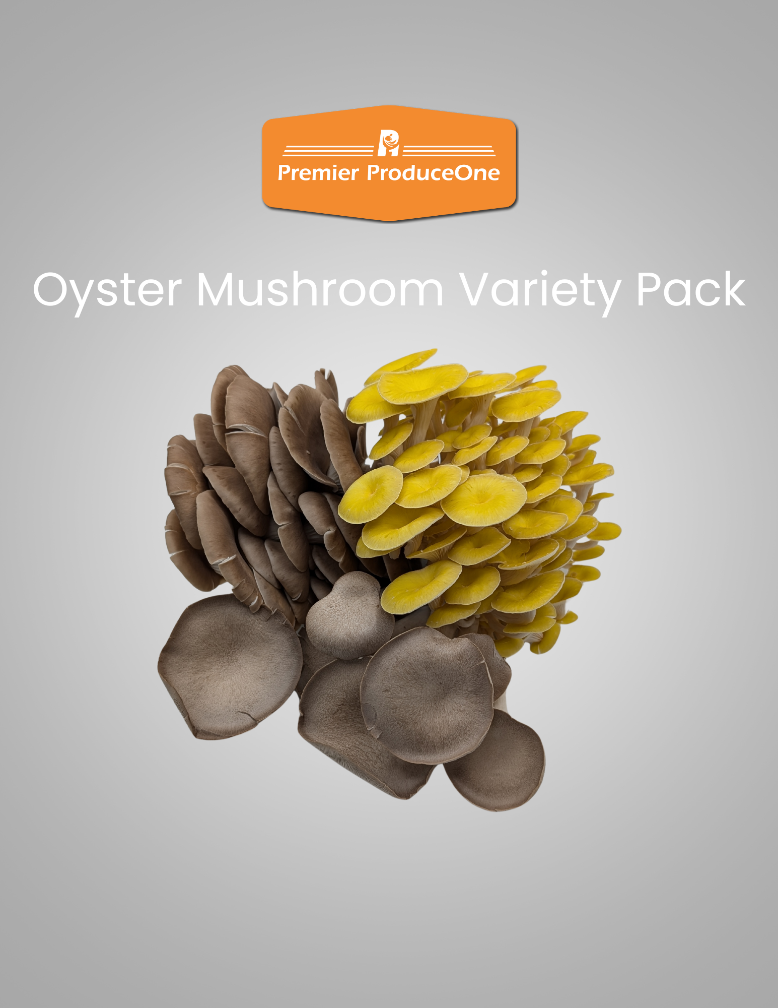 Oyster Mushroom Variety Pack